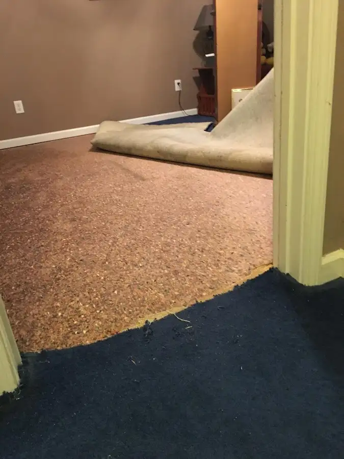 Carpet pad removal revealing water damage during Drying & Dehumidification in Sheridan