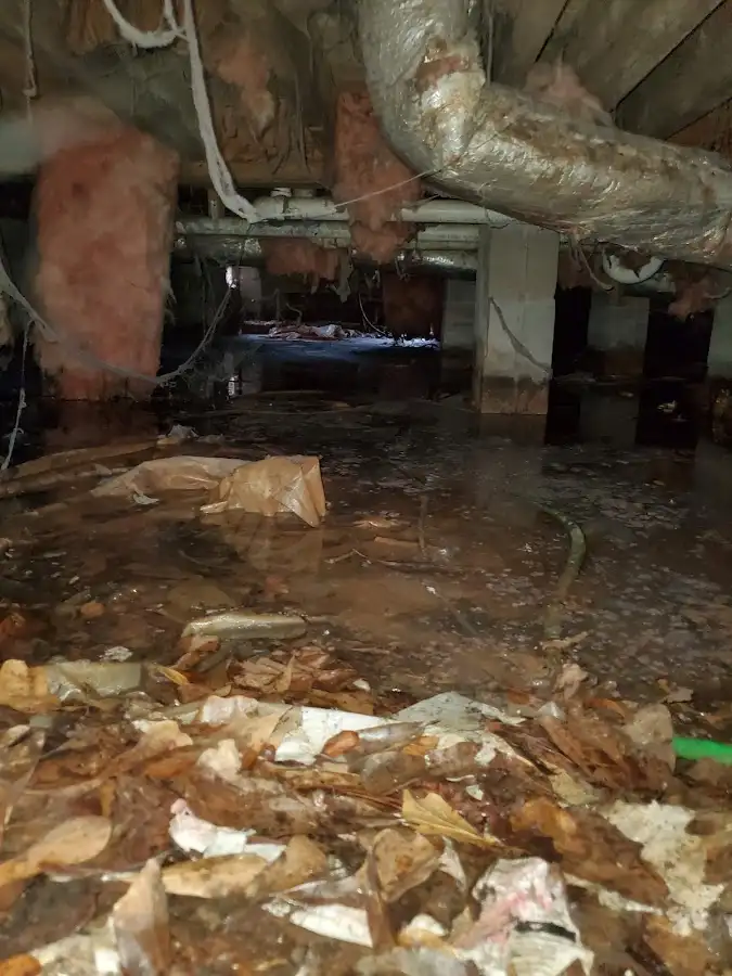 Crawl space flood assessment for Leak Detection & Repair in Sheridan